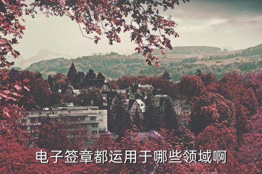 電子簽章都運(yùn)用于哪些領(lǐng)域啊
