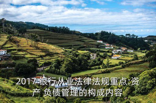2017 銀行從業(yè)法律法規(guī)重點:資產(chǎn) 負(fù)債管理的構(gòu)成內(nèi)容