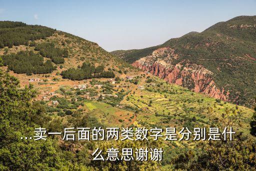 股票中買(mǎi)一賣(mài)一是什么意思