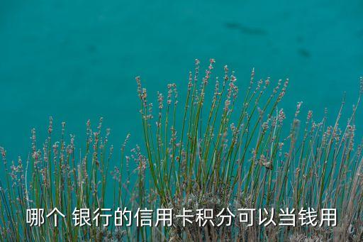 哪個(gè) 銀行的信用卡積分可以當(dāng)錢用