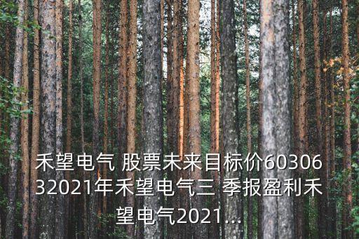 禾望電氣 股票未來目標價6030632021年禾望電氣三 季報盈利禾望電氣2021...