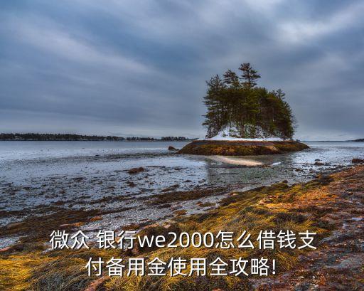 微眾 銀行we2000怎么借錢(qián)支付備用金使用全攻略!