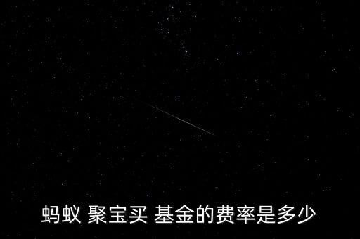 螞蟻 聚寶買 基金的費率是多少