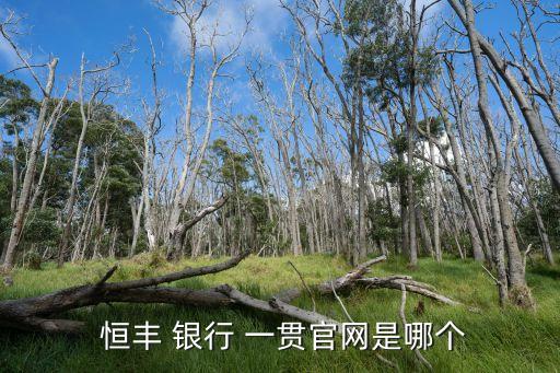 一貫是恒豐銀行的嗎,恒豐銀行一貫下架什么意思