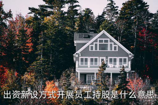 深圳啟銀投資,銀投資本(深圳)有限公司