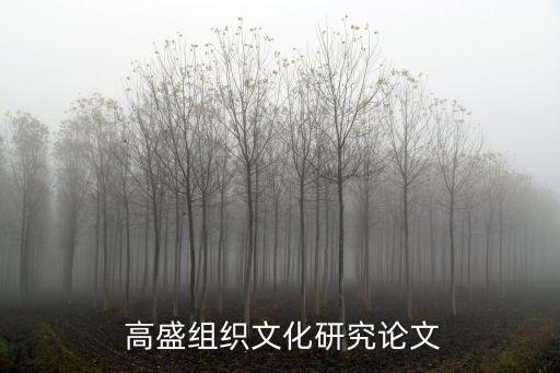 對高盛公司的績效