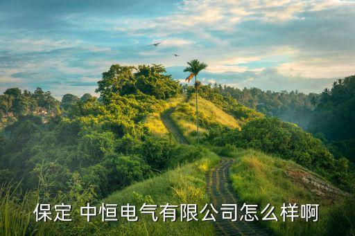 保定 中恒電氣有限公司怎么樣啊