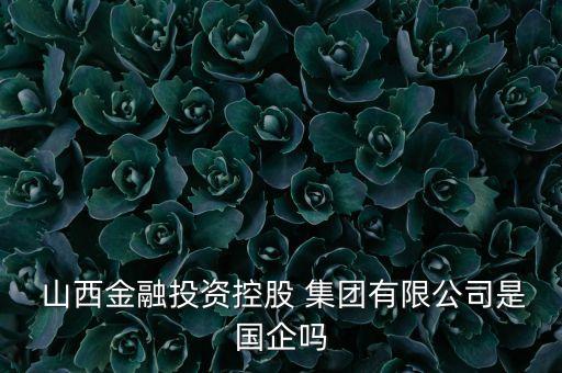  山西金融投資控股 集團(tuán)有限公司是國企嗎