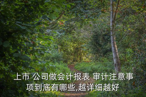  上市 公司做會(huì)計(jì)報(bào)表 審計(jì)注意事項(xiàng)到底有哪些,越詳細(xì)越好