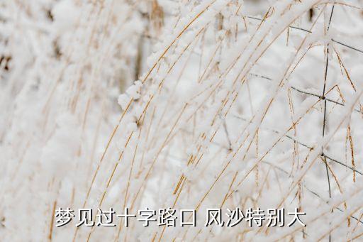 夢(mèng)見過十字路口 風(fēng)沙特別大
