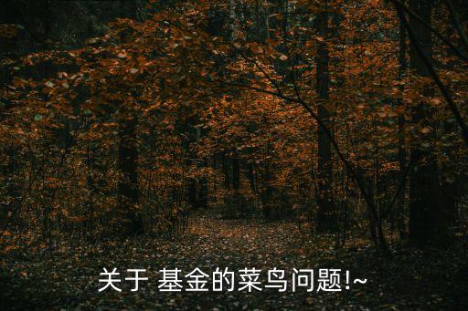 以下關于契約型基金說法正確的是