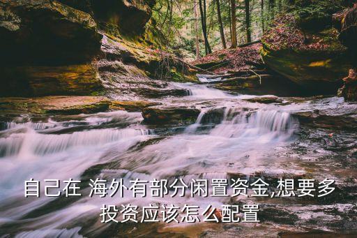海外個人投資,中國海外投資集團(tuán)