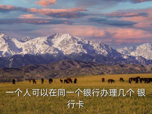 一個(gè)人可以在同一個(gè)銀行辦理幾個(gè) 銀行卡