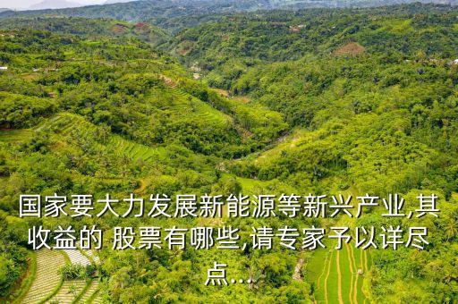 國家要大力發(fā)展新能源等新興產(chǎn)業(yè),其收益的 股票有哪些,請專家予以詳盡點...