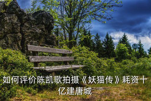 如何評價(jià)陳凱歌拍攝《妖貓傳》耗資十億建唐城