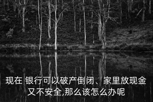 現(xiàn)在 銀行可以破產(chǎn)倒閉、家里放現(xiàn)金又不安全,那么該怎么辦呢