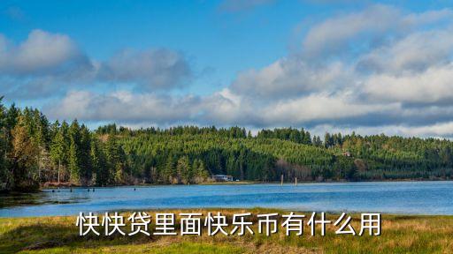 上?？炜熨J,快快貸最新消息