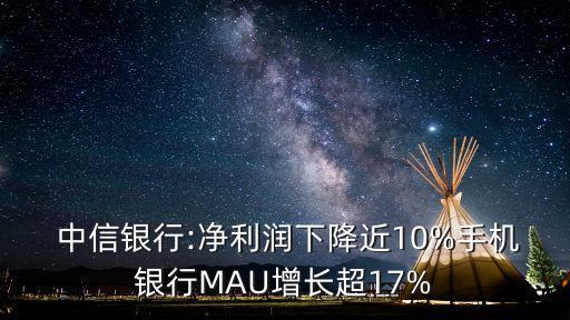 中信銀行供應(yīng)鏈網(wǎng)絡(luò)金融平臺(tái)