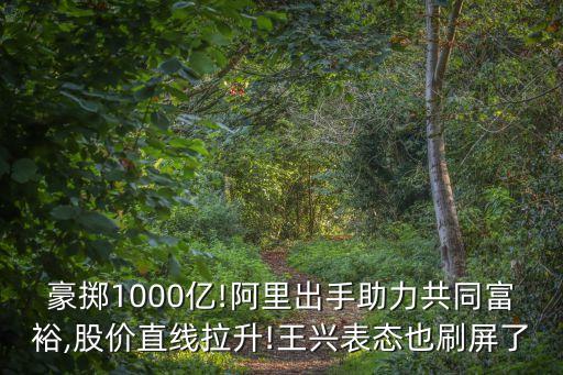 阿里巴巴投資者大會