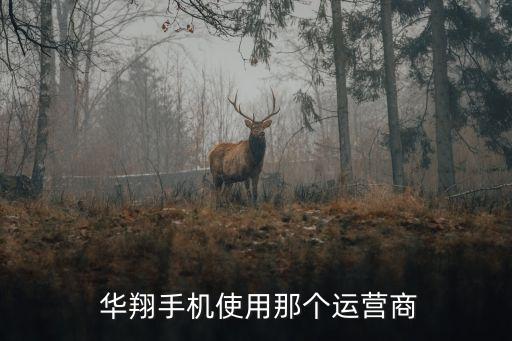  華翔手機(jī)使用那個(gè)運(yùn)營(yíng)商