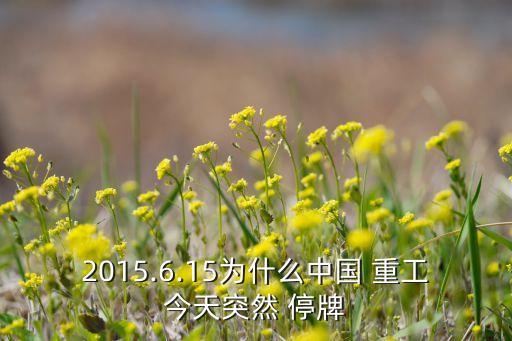2015.6.15為什么中國 重工今天突然 停牌