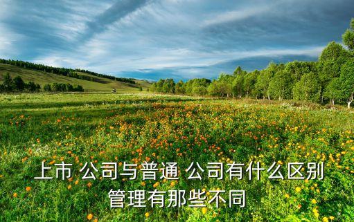  上市 公司與普通 公司有什么區(qū)別管理有那些不同