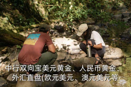 中行雙向?qū)毭涝S金、人民幣黃金、 外匯直盤(歐元美元、澳元美元等