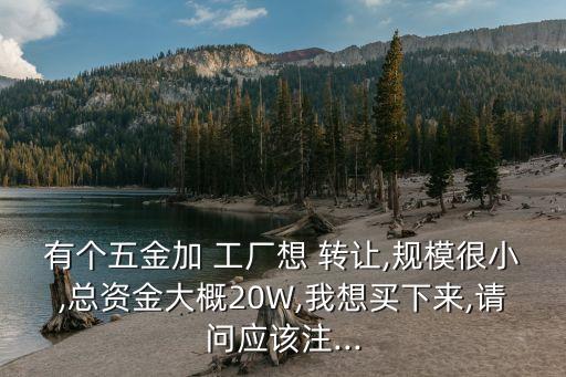 有個五金加 工廠想 轉讓,規(guī)模很小,總資金大概20W,我想買下來,請問應該注...