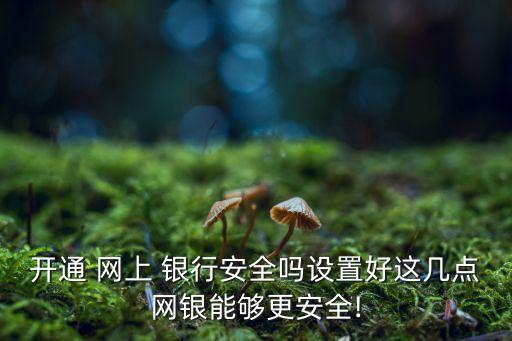 開通 網(wǎng)上 銀行安全嗎設(shè)置好這幾點(diǎn)網(wǎng)銀能夠更安全!