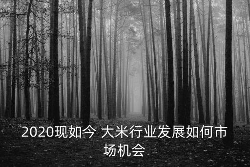 2020現(xiàn)如今 大米行業(yè)發(fā)展如何市場機(jī)會(huì)