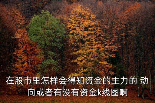 在股市里怎樣會(huì)得知資金的主力的 動(dòng)向或者有沒(méi)有資金k線圖啊