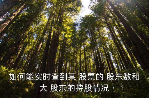 怎么看股票十大股東財(cái)報(bào),股票怎么看財(cái)報(bào)又快又好
