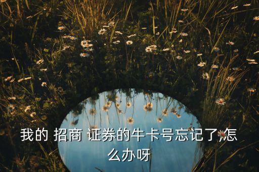 北京招商證券營業(yè)時間,招商證券電話客服電話營業(yè)時間