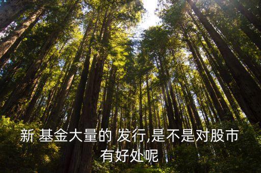 新基金發(fā)行,某公募基金管理公司為一只新基金發(fā)行
