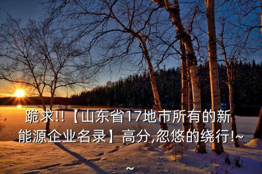 跪求!!【山東省17地市所有的新 能源企業(yè)名錄】高分,忽悠的繞行!~~
