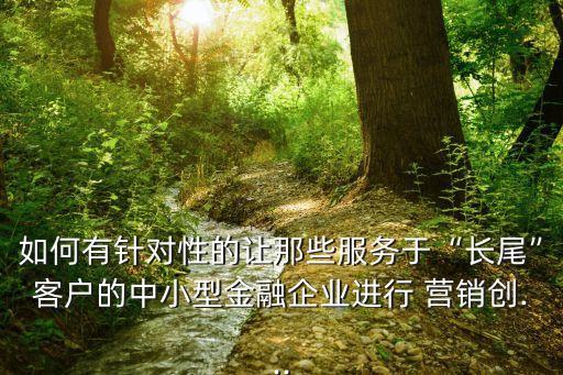 如何有針對性的讓那些服務(wù)于“長尾”客戶的中小型金融企業(yè)進行 營銷創(chuàng)...