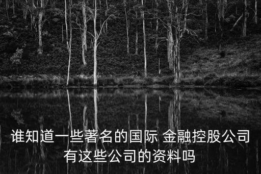 誰(shuí)知道一些著名的國(guó)際 金融控股公司有這些公司的資料嗎