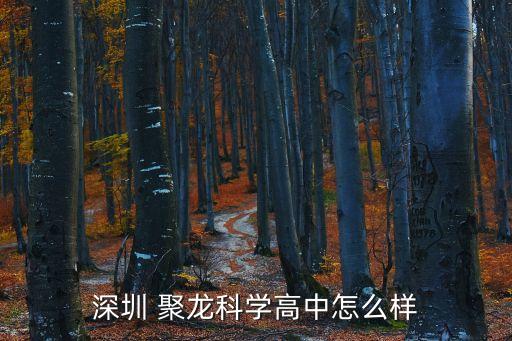 聚龍集團(tuán)學(xué)華為