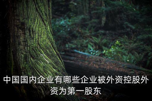 開(kāi)曼群島金州環(huán)境股份有限公司北京代表處