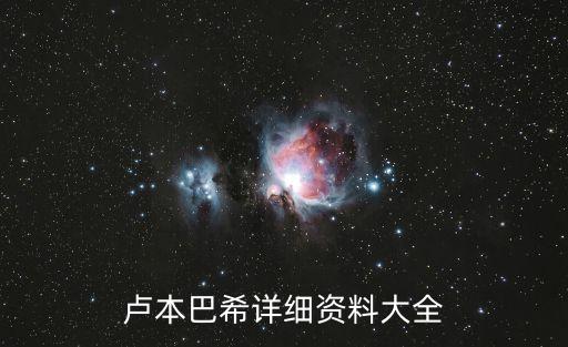盧本巴希詳細(xì)資料大全