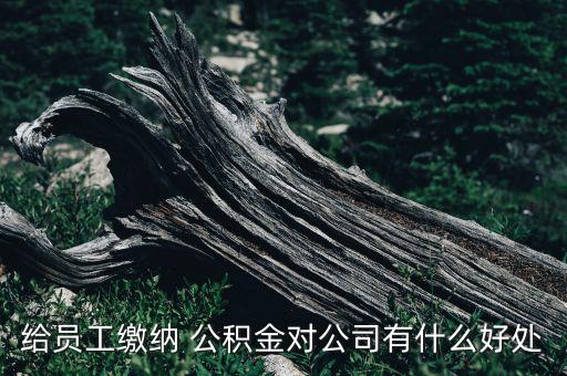 給員工繳納 公積金對(duì)公司有什么好處