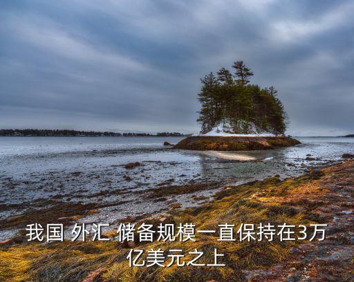 我國 外匯 儲(chǔ)備規(guī)模一直保持在3萬億美元之上