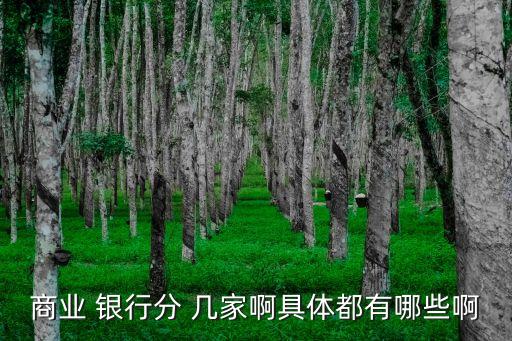 商業(yè) 銀行分 幾家啊具體都有哪些啊
