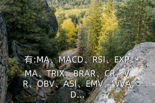 有:MA、MACD、RSI、EXPMA、TRIX、BRAR、CR、VR、OBV、ASI、EMV、WVAD...