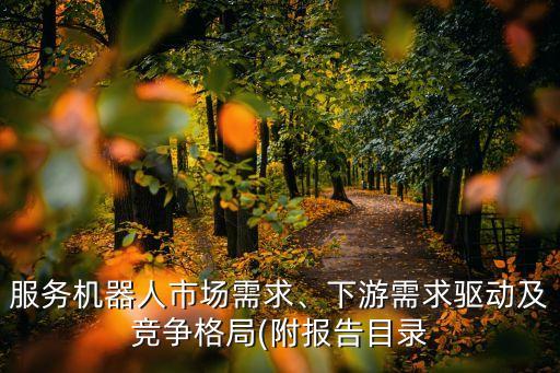 服務(wù)機(jī)器人市場(chǎng)需求、下游需求驅(qū)動(dòng)及競爭格局(附報(bào)告目錄