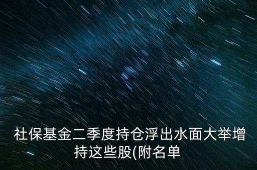 社?；鸲径瘸謧}(cāng)浮出水面大舉增持這些股(附名單