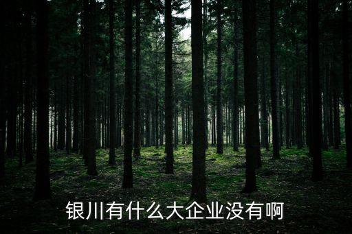銀川有什么大企業(yè)沒有啊