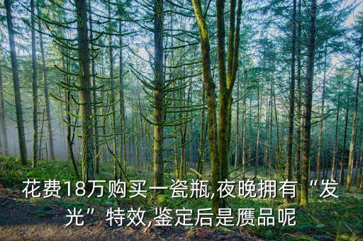 花費18萬購買一瓷瓶,夜晚擁有“發(fā)光”特效,鑒定后是贗品呢