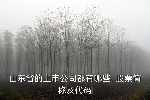 山東省的上市公司都有哪些, 股票簡(jiǎn)稱及代碼