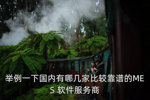 舉例一下國內(nèi)有哪幾家比較靠譜的MES 軟件服務(wù)商